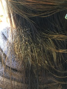 襟足の毛がチリチリ 治し方 シリコーンリムーバー 美容室 りずむヘアデザイン