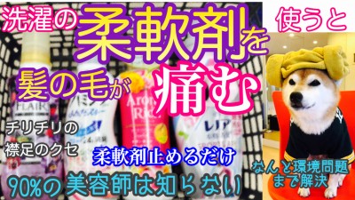 柔軟剤　髪の毛痛む　柔軟剤病　髪の毛が痛むトリートメント　最低限ノンシリコーン　土浦市　美容室　りずむヘアデザイン