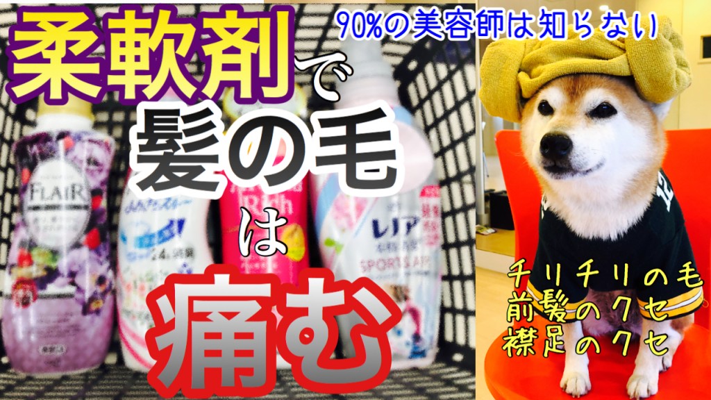 YouTube 柴犬を見ながら髪質・肌質改善チャンネル 柔軟剤　柔軟剤病　シリコーン病　髪の毛のクセの原因　襟足の毛がチリチリ　耳後ろの毛がジリジリ　前髪のクセ　生え際のクセ　直し方　髪の毛のクレンジング　りずむヘアデザイン　土浦市　美容室