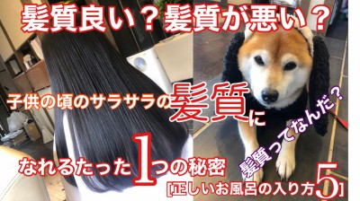 YouTube 柴犬を見ながら髪質肌質改善チャンネル　髪質改善　土浦市　美容室　りずむヘアデザイン