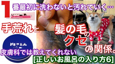 YouTube 柴犬を見ながら髪質は肌質改善チャンネル　柴改　土浦市　美容室　りずむヘアデザイン　還元美容
