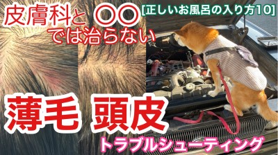 YouTube 薄毛　頭皮　皮膚科　正しいお風呂の入り方　トラブルシューティング　柴犬を見ながら髪質肌質改善チャンネル　土浦市　美容室　りずむヘアデザイン