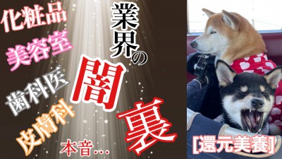 柴犬を見ながら髪質肌質改善チャンネル　還元美養　化粧品　美容室　歯科医　皮膚科　りずむヘアデザイン　土浦市　美容室　