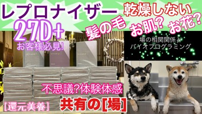 レプロナイザー27Dplus 還元美養　柴犬を見ながら髪質肌質改善チャンネル　乾燥しない