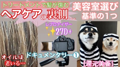 トリートメントで髪の毛が痛む　美容室選びの基準の1つ　柴犬を見ながら髪質肌質改善チャンネル　還元美養　オイル　老いる　トリートメント