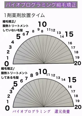 バイオプログラミング縮毛矯正 波動計測 還元美養 理水907D+ 107D+ 907D+ リュミエリーナ 還元美養りずむ南青山 りずむヘアデザイン レプロナイザー ヘアビューロン