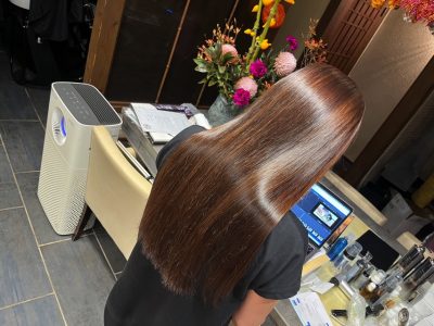カラーファンタジー107 レプロナイザー107Dplus ヘアビューロン107Dplus 還元美養 りずむヘアデザイン 髪と地肌のクレンジング バイオプログラミング プラチナプログラミング アルバージュ
