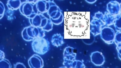 赤血球　ウィスマー顕微鏡　ソマチッド　プリモエイチプラス　RHD web shop りずむヘアデザイン　還元美養りずむ南青山