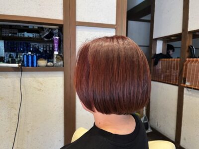 カラーファンタジー107Dplus レプロナイザー107Dplus ヘアビューロン107Dplus りずむヘアデザイン　還元美養　還元美養りずむ南青山　フリューレン　RS ボブ
