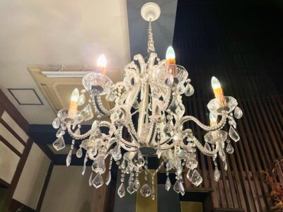 YouTube 柴犬を見ながら髪質肌質改善チャンネル　りずむヘアデザイン　レプロナイザー　ヘアビューロン　バイオプログラミング　