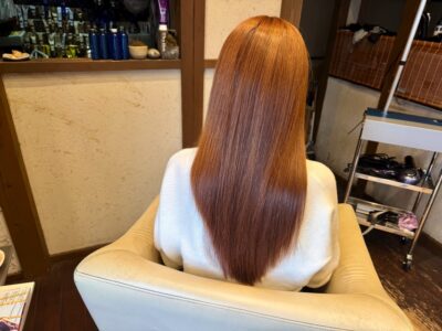 カラーファンタジー107Dplus レプロナイザー107Dplus ヘアビューロン107Dplus りずむヘアデザイン 還元美養 還元美養りずむ南青山 WZ ウィーゼン 超濃縮水素水原液プリモH+