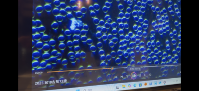 赤血球キレイ　72歳　プリモエイチプラス　還元美養りずむ南青山　りずむヘアデザイン　