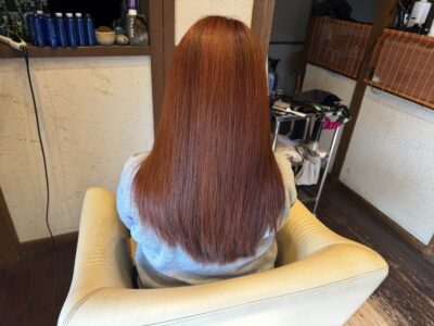 カラーファンタジー107Dplus レプロナイザー107Dplus ヘアビューロン107Dplus りずむヘアデザイン　還元美養　還元美養りずむ南青山　WZ ウィーゼン　超濃縮水素水原液プリモH+