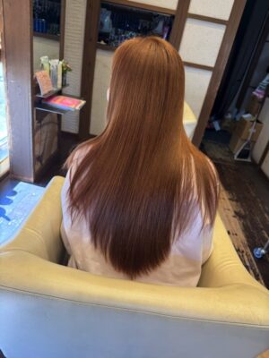 カラーファンタジー107Dplus ダメージレス　レプロナイザー107Dplus ヘアビューロン107Dplus りずむヘアデザイン　還元美養　還元美養りずむ南青山　超濃縮水素水原液プリモH+　本質美　バイオプログラミング　還元美養　