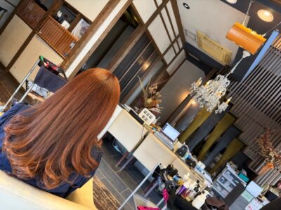 カラーファンタジー107Dplus ダメージレス　レプロナイザー107Dplus ヘアビューロン107Dplus りずむヘアデザイン　還元美養　還元美養りずむ南青山　超濃縮水素水原液プリモH+　本質美　バイオプログラミング　還元美養　波動スピーカー