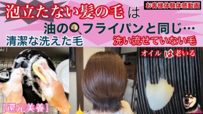 YouTube 柴犬を見ながら髪質肌質改善チャンネル りずむヘアデザイン 還元美養りずむ南青山 髪と地肌のクレンジング vorcureデケミおきよめ RHD web shop