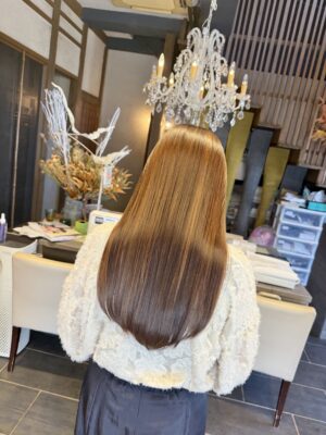 白髪染め グレーカラー ハイライト カラーファンタジー107Dplus ダメージレス レプロナイザー107Dplus ヘアビューロン107Dplus りずむヘアデザイン 還元美養 還元美養りずむ南青山 超濃縮水素水原液プリモH+ 本質美 バイオプログラミング 還元美養 波動スピーカー